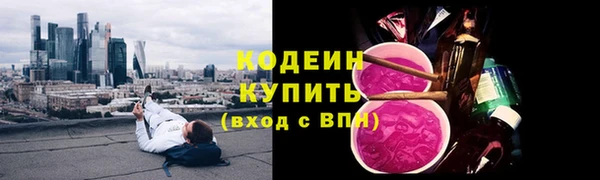 ECSTASY Алзамай