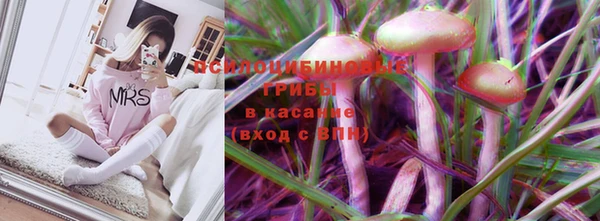 ECSTASY Алзамай
