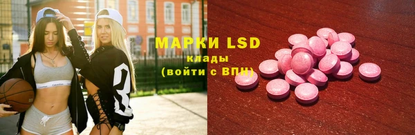 ECSTASY Алзамай