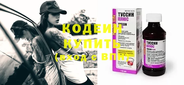 ECSTASY Алзамай
