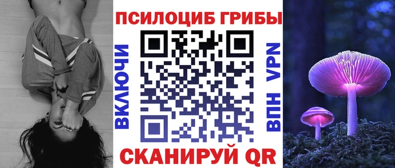 Галлюциногенные грибы MAGIC MUSHROOMS  продажа наркотиков  ссылка на мегу сайт  Минусинск 