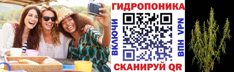 сколько стоит  ссылка на мегу   Бошки Шишки гибрид  Минусинск 